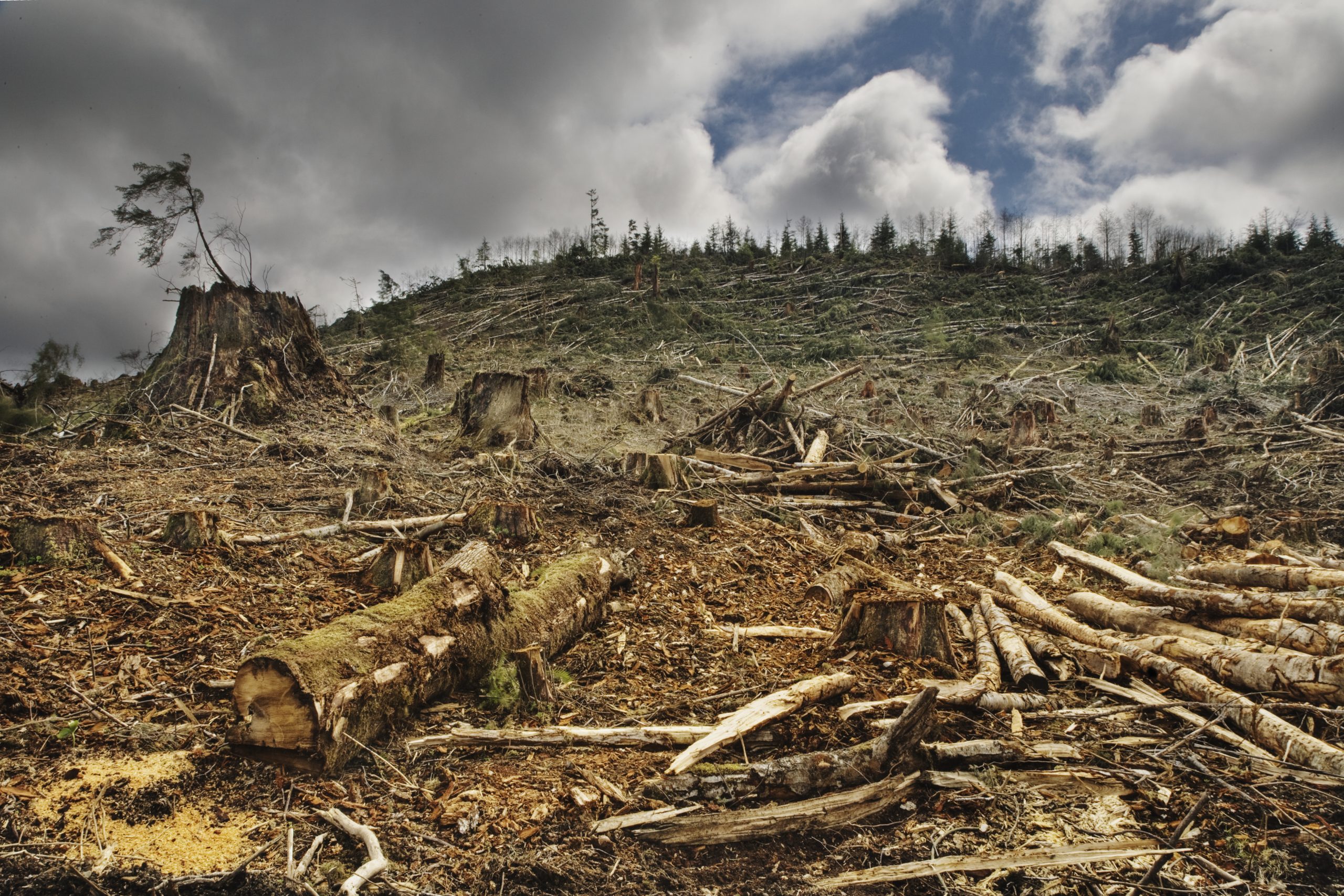 Environmental Protection