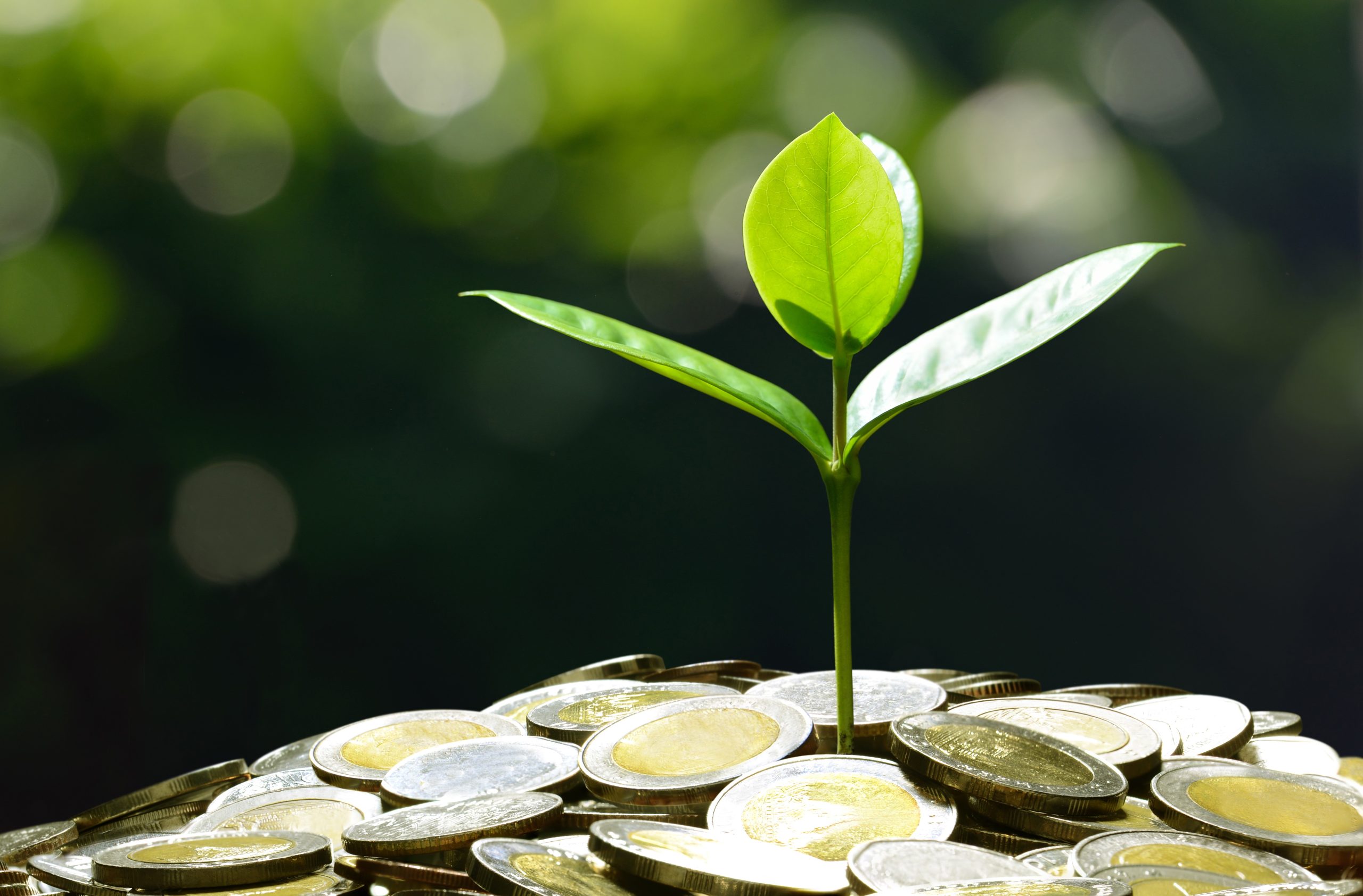 Green Finance